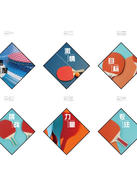 博尼亚乒乓球室墙面装饰