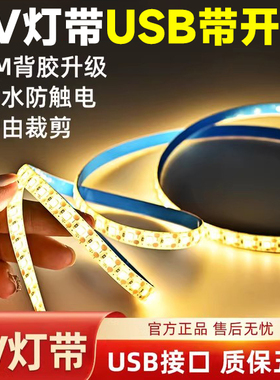 led灯带自粘5V低压超亮带USB夜市摆摊氛围灯充电宝线条嵌入式灯条