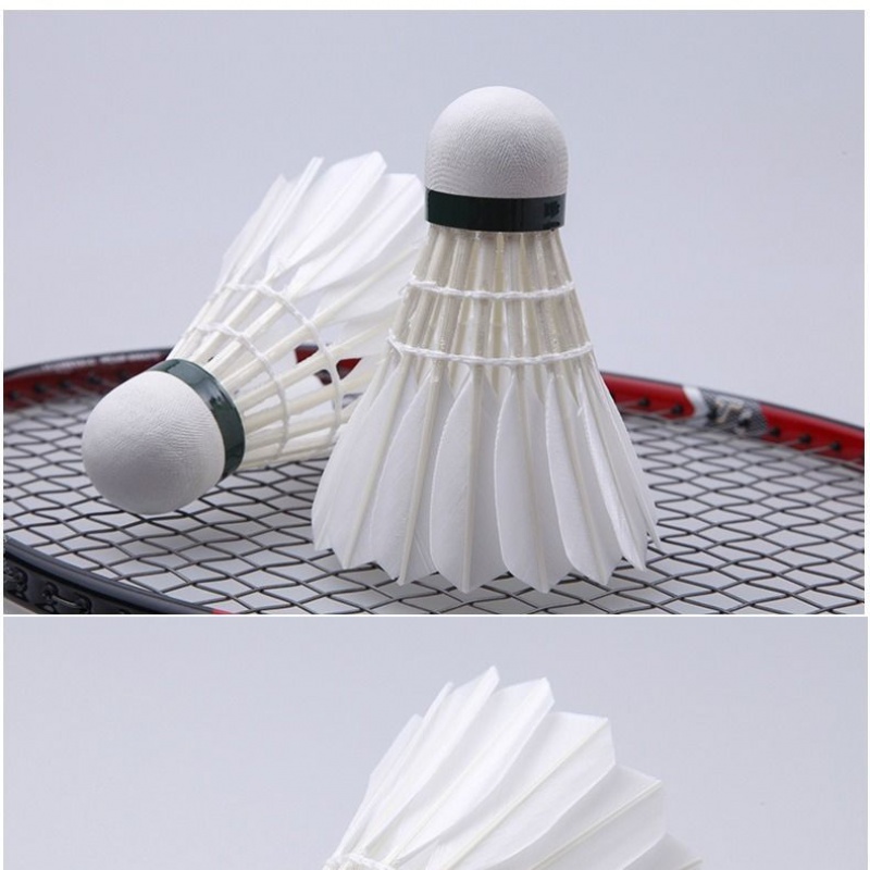 reunite with badminton student High-end badminton Goose badmintonin the Sports/Yoga/Fitness/Fans supplies , Badminton , Badminton  category - from Buy2taobao.com to provide professional Taobao agent buy service