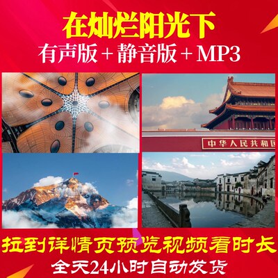 L49818Z在灿烂阳光下向日葵伴奏版13视频背景大合唱歌曲LED串烧