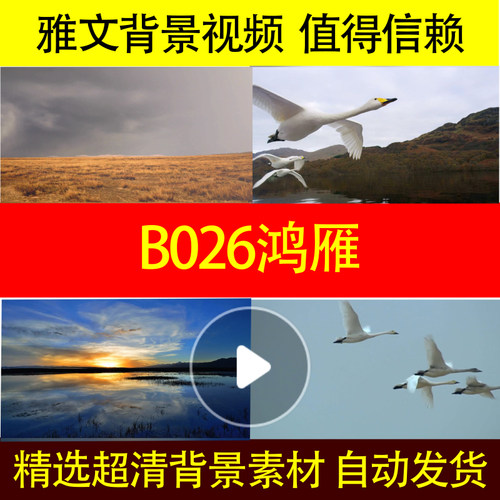 B026鸿雁背景视频led特效大屏幕动态舞美歌舞歌曲
