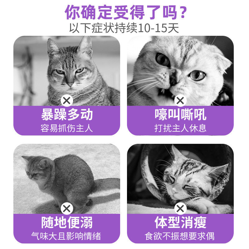 猫咪禁情粉母猫专用少绝育禁发情期粉抑制情欲公猫闹猫叫抑情片