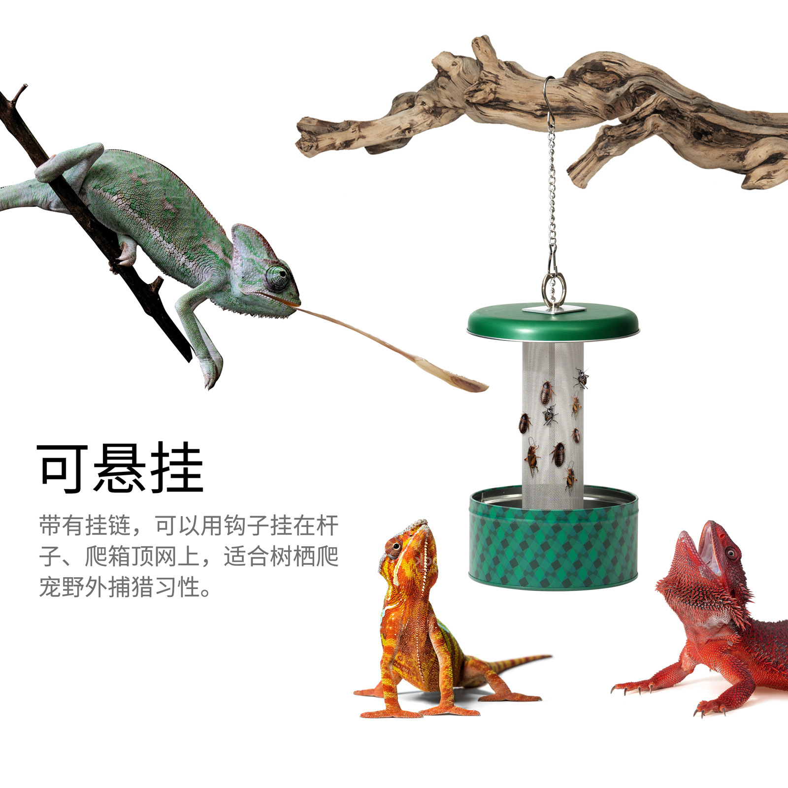 giangarden爬宠防逃喂食盆爬蜥蜴守宫杜比亚面包大麦虫防逃喂食器
