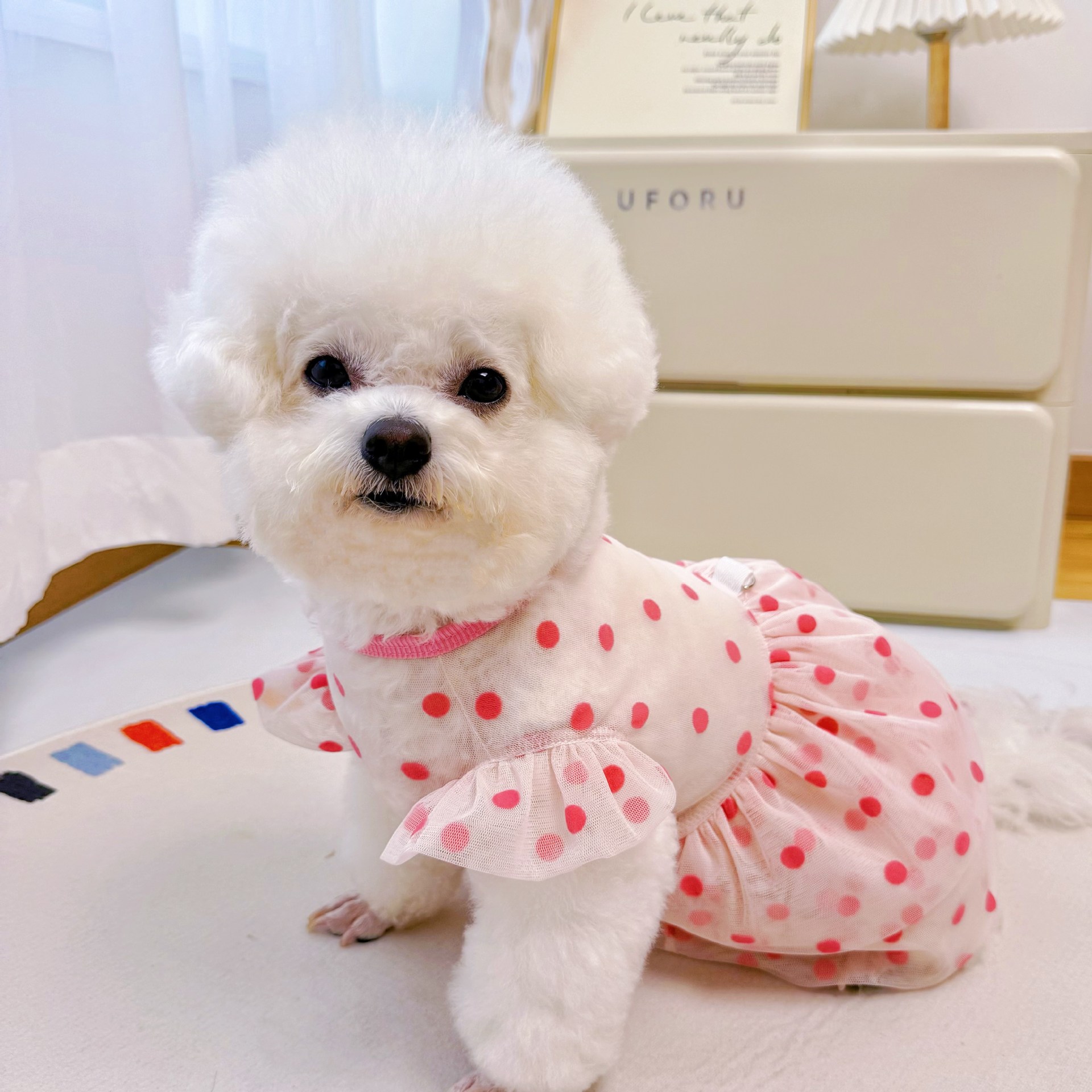 狗狗猫咪宠物夏季薄款防晒防掉毛背心衣服柯基比熊博美小中大型犬