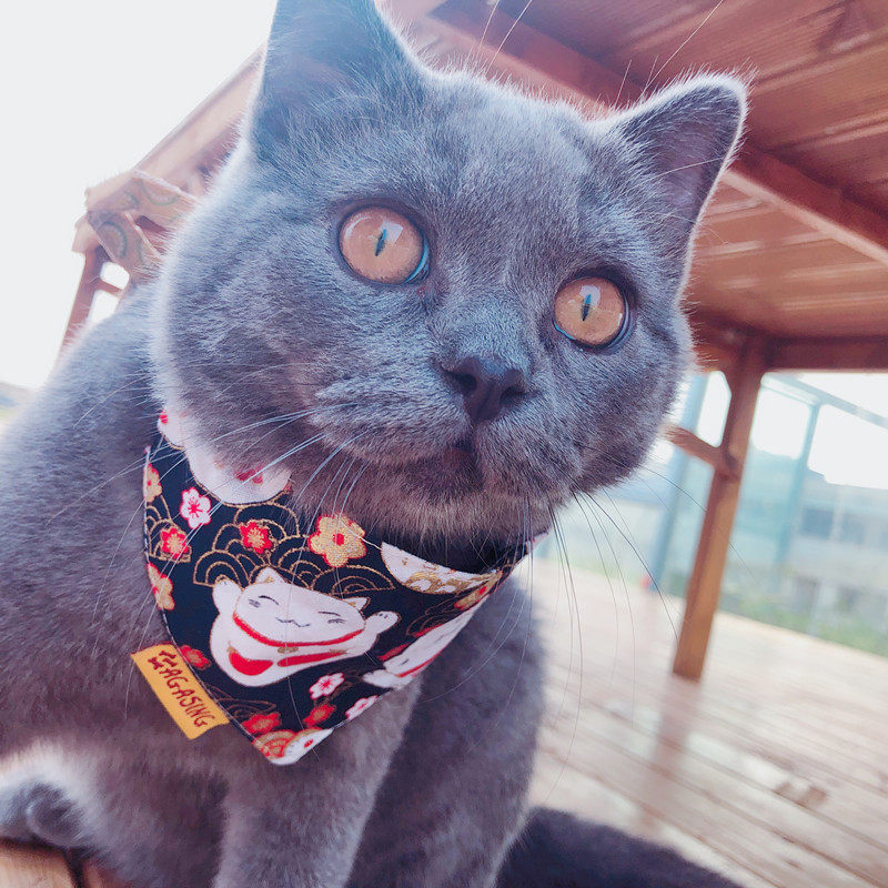 清仓特价宠物三角巾日系和风猫狗口水巾围脖围嘴围巾领巾厂家批发