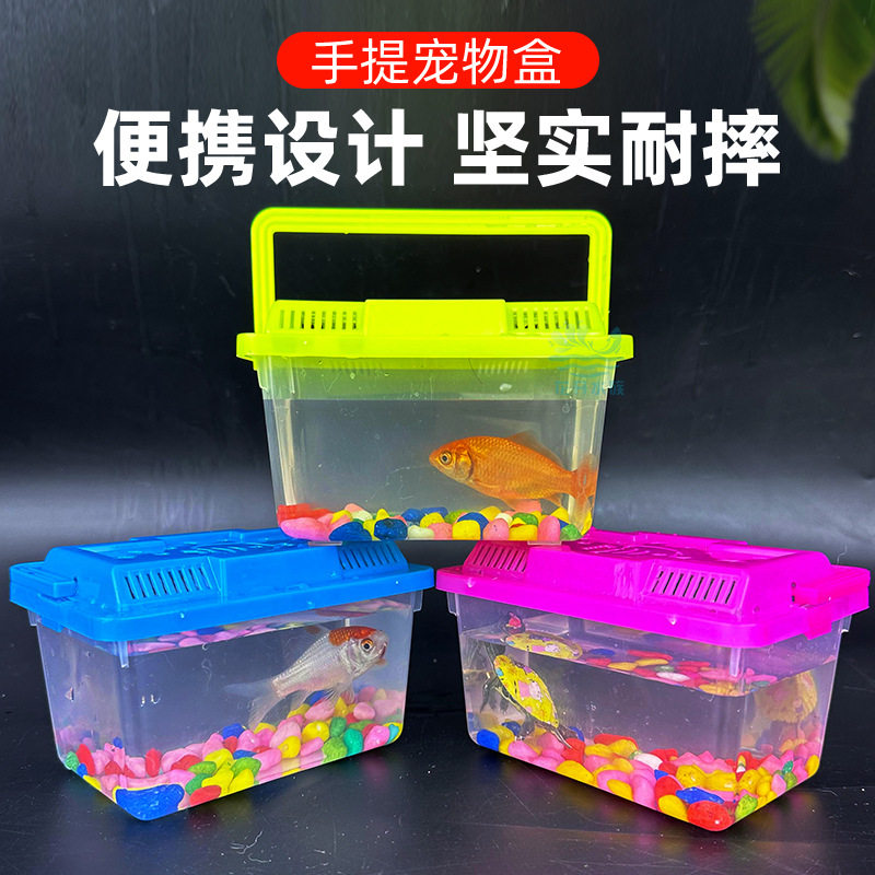 手提式多色耐摔乌龟盒小鱼缸公园夜市摆摊半透明彩色儿童爬宠盒