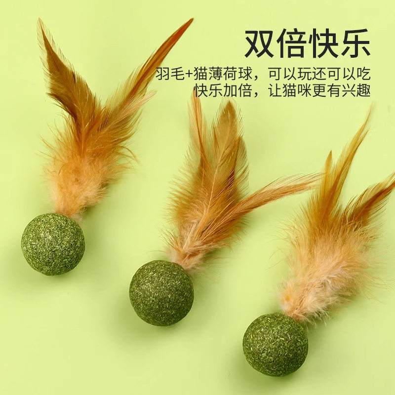 猫玩具猫薄荷球羽毛磨牙自嗨解闷猫草片球逗猫棒猫化排毛猫咪专用,宠物/宠物食品及用品,猫狗特色玩具,淘宝优惠券,粉丝福利购,淘宝优惠卷