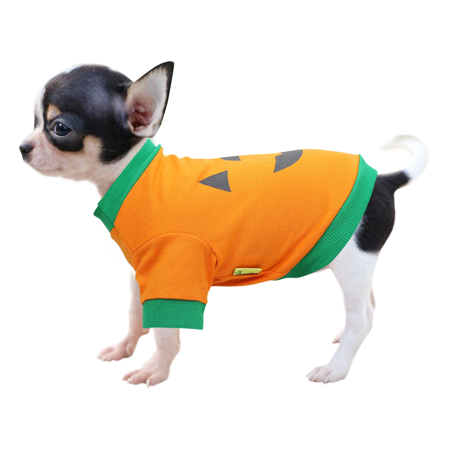宠物狗狗圣诞棉质衣服泰迪博美比熊贵宾小型幼犬猫猫咪薄款短袖