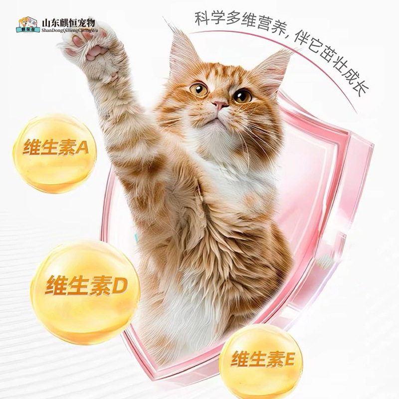 宠物乳铁蛋白粉现货批发狗猫通用宠物营养补充剂山东麒恒