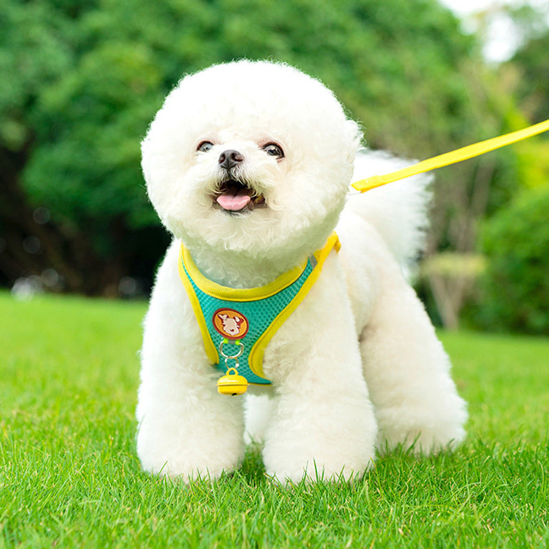 狗狗牵引绳小型犬比熊泰迪博美背心式胸背带透气舒适遛狗绳牵狗绳