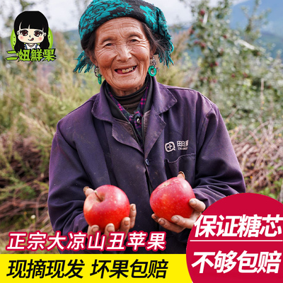新鲜大凉山冰糖心丑苹果