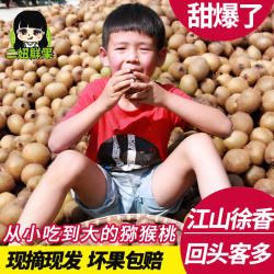 二妞正宗江山徐香弥猕猴桃带箱5斤水果新鲜当季整箱大绿心奇异果