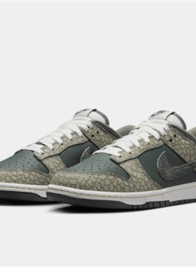 Nike Dunk 复古运动低帮板鞋HF4878 IM6572 IB3079 DV0821
