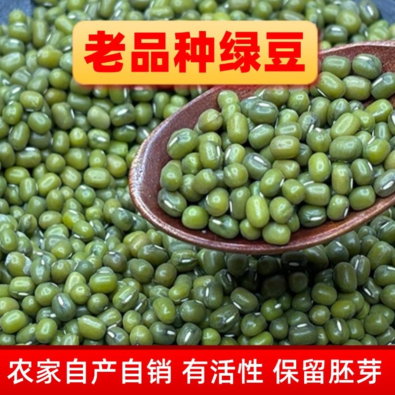 绿豆发豆芽专用 新货老品种 新鲜农家今年新豆优质绿豆 一级家用
