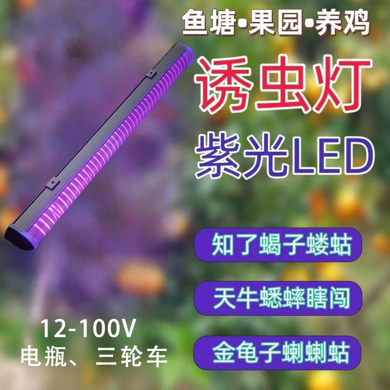 LED紫光诱虫灯12-100V电瓶三轮车知了蟑螂天牛螳螂驱虫神器知了灯