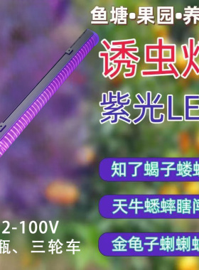 LED紫光诱虫灯12-100V电瓶三轮车知了蟑螂天牛螳螂驱虫神器知了灯