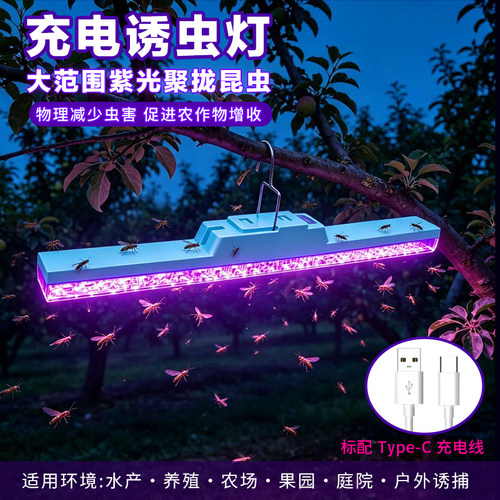 Type-C充电紫光大范围知了灯