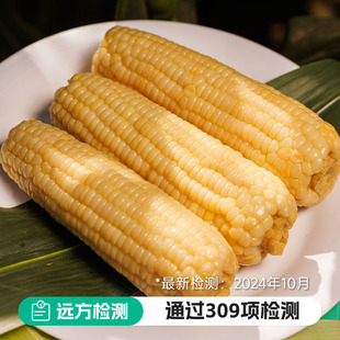 远方的梦想甜糯玉米8棒非转基因锁鲜技术独立真空包装微甜