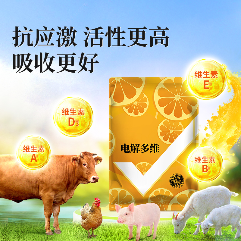 速溶电解多维维生素猪猪牛羊