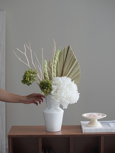 pomelo白绿色系干花蒲扇棕榈叶装饰清新软装天然真花干枝耐放轻奢