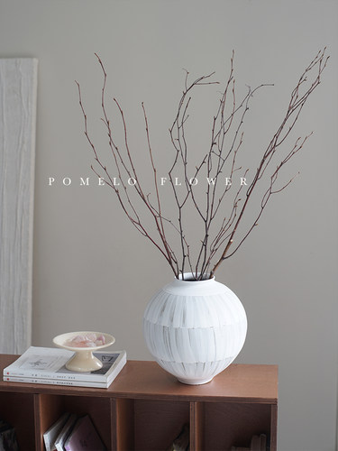 低成本干树枝耐放且空间感十足