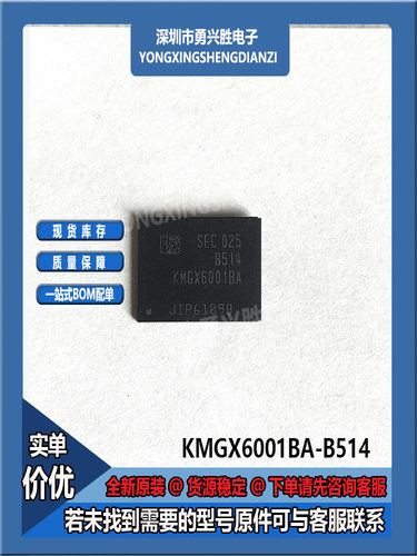KMGX6001BA-B514BGA221