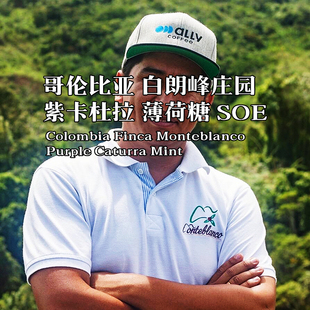 咖啡巴士哥伦比亚白朗峰紫卡杜拉薄荷糖227克下单烘焙手冲咖啡豆