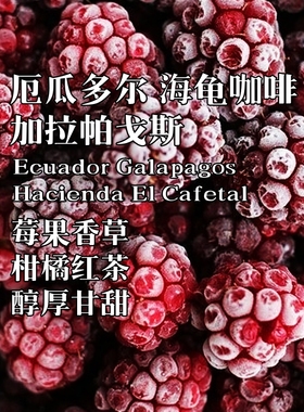 咖啡巴士厄瓜多尔加拉帕戈斯岛海龟227克下单新鲜烘焙 手冲咖啡豆