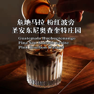 咖啡巴士危地马拉珍稀品种粉红波旁227克下单新鲜烘焙 手冲咖啡豆