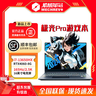 机械革命极光pro16406024新品