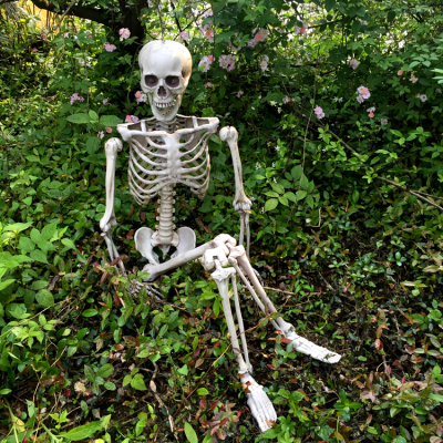 万圣节塑料骷髅骨架骨头骷髅头