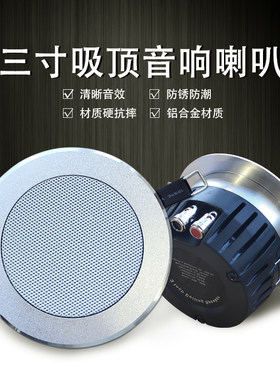 BERGIS筒灯款小吸顶音响音质好