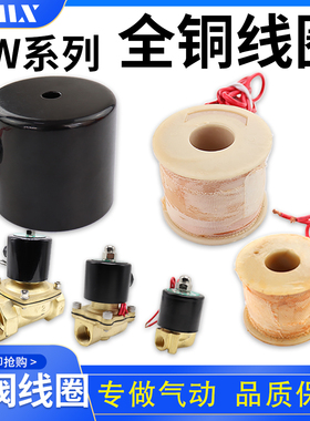 全铜电磁阀2W水阀线圈220V24V12V 2分 4分 6分 1寸 2 1寸半 2寸