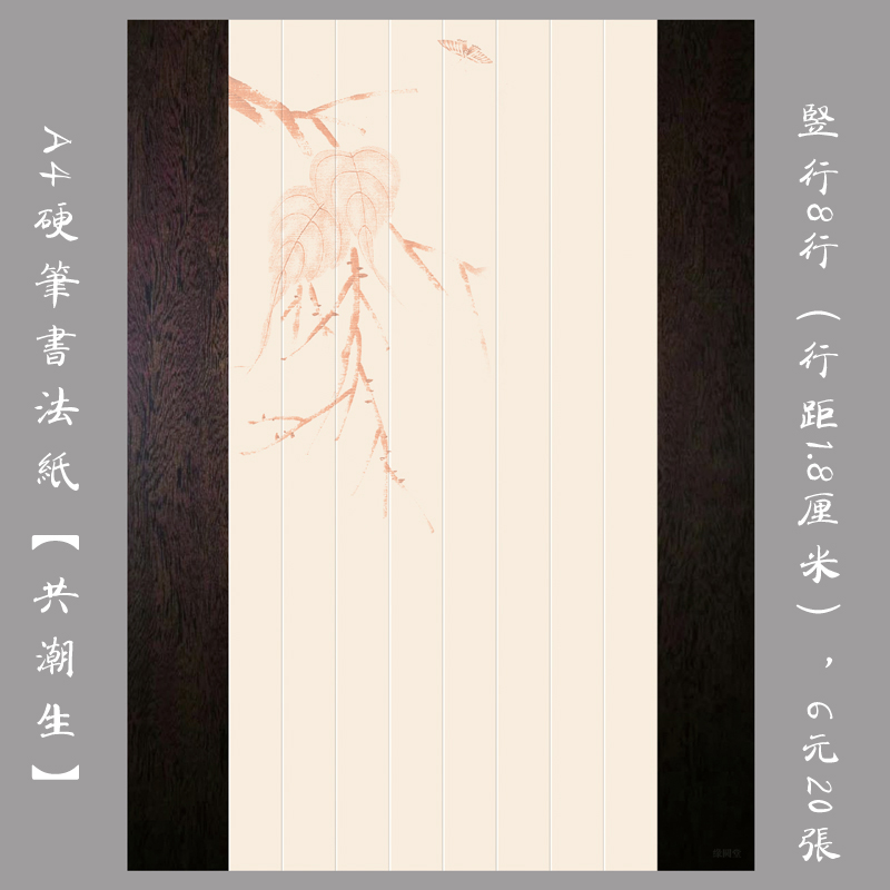 硬笔书法无格比赛潮生书法