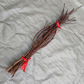 东南桃树枝桃花枝孕妇婴儿惊吓啼哭护身随身端午插桃枝镇宅老桃木