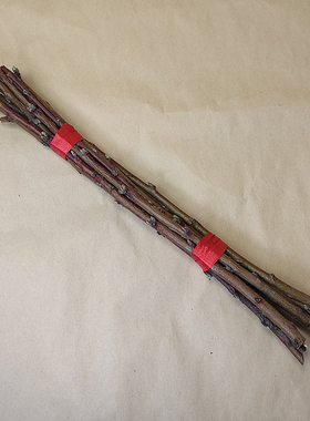 桃树枝老桃木棍棒孕妇宝宝压惊儿童床头随身走夜路噩梦东南桃枝条