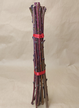 东南桃枝条百年桃树宝宝孕妇老人压惊客厅卧室儿童床头防噩梦镇宅