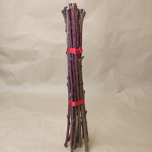 东南桃枝条百年桃树宝宝孕妇老人压惊客厅卧室儿童床头防噩梦镇宅