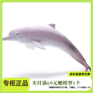 Recur悦酷软胶仿真海洋世界动物模型中华白海豚儿童戏水塑胶玩具