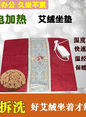 电加热艾绒坐垫椅子凳子沙发坐垫办公室发热艾灸垫子臀部热敷暖宫