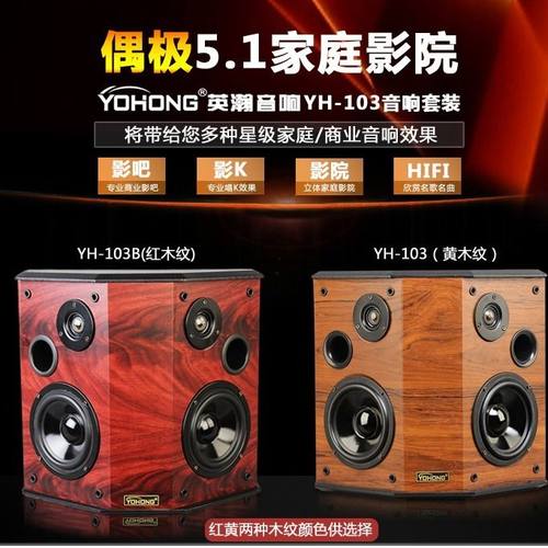 YOHONG/英瀚YH-103偶极音箱5.1家庭影院无源家用环绕书架音响