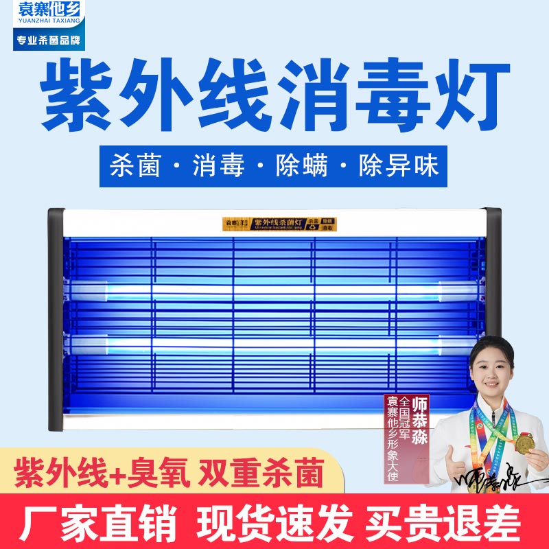 幼儿园悬挂除螨臭氧紫外线消毒灯