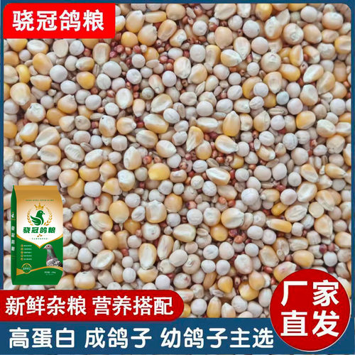 工厂直发职业赛鸽营养饲料