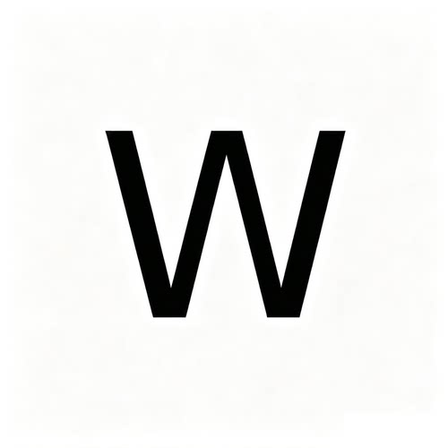 W31-W35【关注小兽司】休闲T恤no退no换
