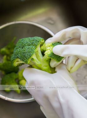 夏季耐用型白色丁腈橡胶手套家务干活塑胶家用厨房洗碗洗衣服防水