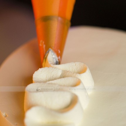 686型号圣安娜裱花嘴 奶油蛋糕饺子V字型不锈钢挤花嘴