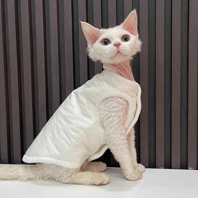 双层棉马甲无毛猫衣服斯芬克斯猫德文衣服简约刺绣秋冬款