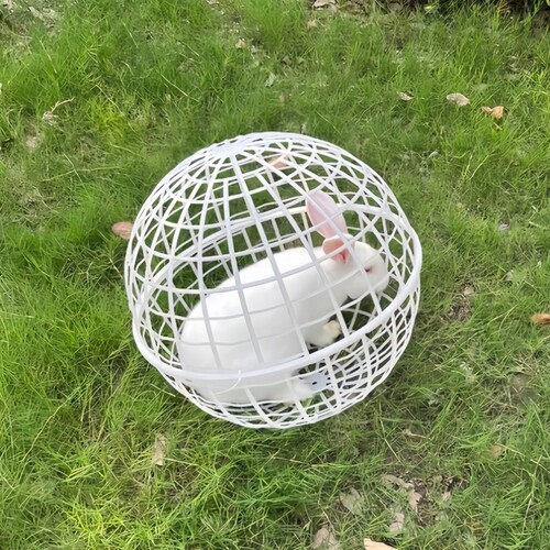 兔兔春游！露营防丢兔笼外出散养玩耍宠物玩具龙猫仓鼠球形防护笼
