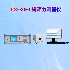 上海CX-300矫顽力测量仪