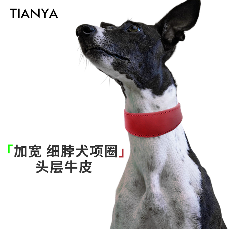 狗狗牛皮项圈格力惠比特灵缇脖套